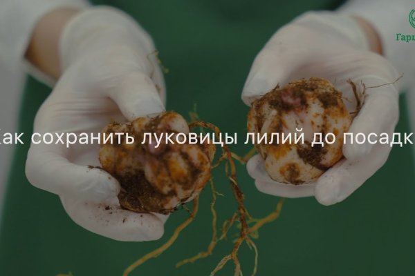 Кракен ссылка на тор официальная онион