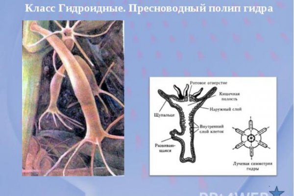 Маркетплейс кракен